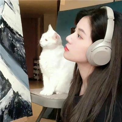 无能之鹰